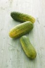 Fresh gherkins for pickling — Stock Photo