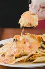 Prendere mano tortilla chip — Foto stock
