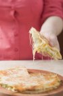 Prise de main morceau de quesadilla — Photo de stock