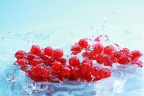 Grosellas rojas maduras en agua - foto de stock
