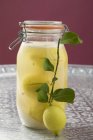 Closeup view of pickled lemons in jar with small branch and fresh lemon — Stock Photo