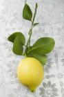 Zitrone auf Stiel mit Blättern — Stockfoto