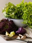 Frische Salatzutaten mit Salat — Stockfoto