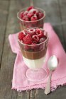 Two-tone chocolate mousse topped with raspberries — Stock Photo