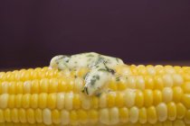 Mazorca de maíz con mantequilla de hierbas - foto de stock