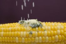 Sprinkling salt on corn — Stock Photo