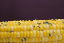 Кукуруза на початке с травяным маслом — стоковое фото