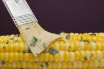 Brushing corn with herb butter — Stock Photo