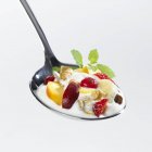 Spoon full of yoghurt muesli — Stock Photo