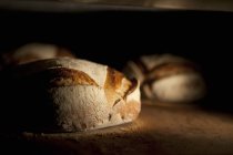 Freshly baked Bread loaves — Stock Photo