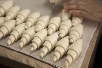 Mãos a colocar croissants não cozidos — Fotografia de Stock