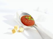 Cuillère de soupe aux tomates — Photo de stock