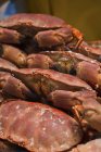 Vue rapprochée du tas de crabes cuits — Photo de stock