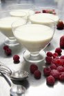 Closeup view of Bavarian cream with raspberries — Stock Photo