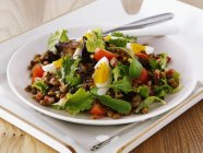 Salade de lentilles et pois chiches aux tomates — Photo de stock