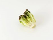 Свежий салат сердце — стоковое фото