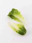 Fresh lettuce leaves — Stock Photo