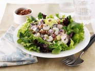 Waldorf salad  on white plate over wooden surface  with towel spoon and fork — Stock Photo