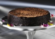 Torta al tartufo al cioccolato — Foto stock