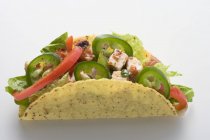 Closeup view of chicken Taco with chilli on white surface — Stock Photo