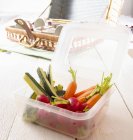 Rohes Gemüse im Plastikbehälter für ein Picknick auf dem Tisch — Stockfoto