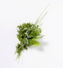 Mazzo di erbe fresche — Foto stock