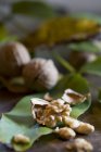 Cracked walnut with shell — Stock Photo
