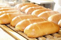 Пшеничные и ржаные хлебы — стоковое фото