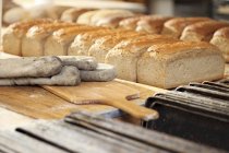 Enfriamiento de pan de centeno y trigo en panadería - foto de stock