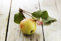 Свежесобранное яблоко на грядке — стоковое фото