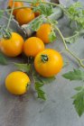 Gelbe Tomaten mit Blättern — Stockfoto