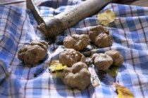 Fresh picked truffles — Stock Photo