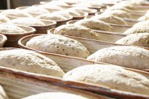Unbaked bread at crates in a rows at bakery — Stock Photo