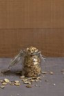 Chestnut flakes in opened glass preserving jar and scattered around — Stock Photo