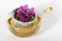 Vista de perto da infusão de malva com chá e flor na peneira — Fotografia de Stock