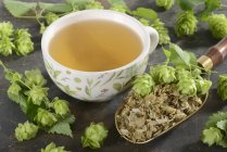 Хмель чай и хмелевые шишки — стоковое фото