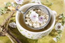Marsh mallow root tea — Stock Photo