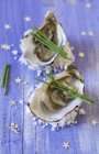 Oysters filled with vegetables — Stock Photo