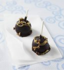 Turtle Cake Pops on plate and on table — Stock Photo