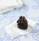 Chocolate Cake Pop — Stock Photo