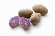 Blauer Schwede potatoes — Stock Photo