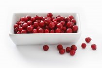 Dish of fresh lingonberries — Stock Photo