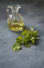 Cilantro fresco y aceite de oliva - foto de stock