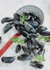 Fresh mussels with draining spoon — Stock Photo