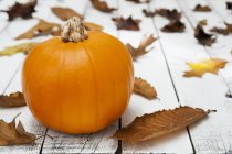Kürbis und Herbstblätter — Stockfoto