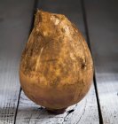 Fresh dirty turnip — Stock Photo