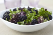 Primo piano vista di verdure biologiche e insalata di more — Foto stock
