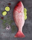 Red Snapper Stuffed with Lime slices — Stock Photo