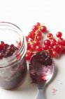 Red Currant Preserves — Stock Photo