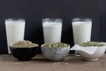 Lait de chanvre fait maison aux graines — Photo de stock